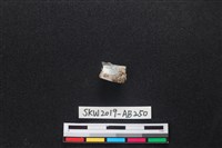 獸骨藏品圖，第2張