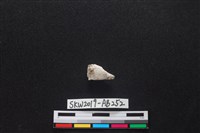 獸骨藏品圖，第1張