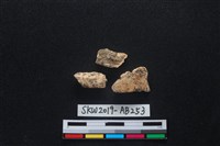 獸骨藏品圖，第2張