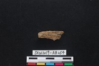 獸骨藏品圖，第1張