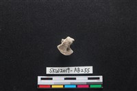 獸骨藏品圖，第2張