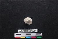 獸骨藏品圖，第1張