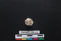 獸骨藏品圖，第2張