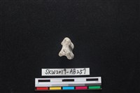 獸骨藏品圖，第2張