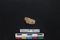 獸骨藏品圖，第2張