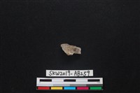 獸骨藏品圖，第2張