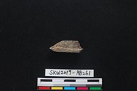 獸骨藏品圖，第2張