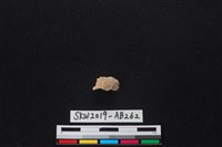 獸骨藏品圖，第2張