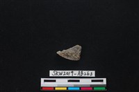 獸骨藏品圖，第1張