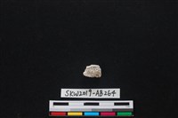 獸骨藏品圖，第2張