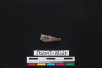 獸骨藏品圖，第1張