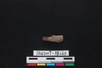 獸骨藏品圖，第2張