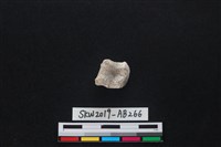 獸骨藏品圖，第1張