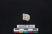 獸骨藏品圖，第2張