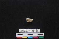 獸骨藏品圖，第2張