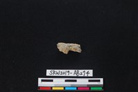 獸骨藏品圖，第2張