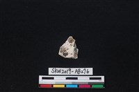 獸骨藏品圖，第1張