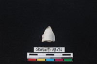 獸骨藏品圖，第2張