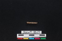 獸骨藏品圖，第2張