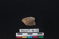 獸骨藏品圖，第2張