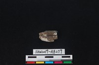 獸骨藏品圖，第1張