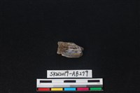 獸骨藏品圖，第2張