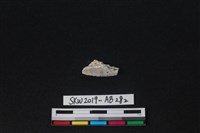 獸骨藏品圖，第2張