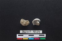 獸骨藏品圖，第2張