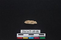 獸骨藏品圖，第2張