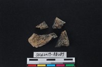 獸骨藏品圖，第2張