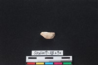 獸骨藏品圖，第2張