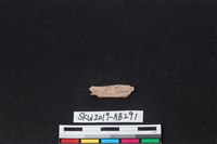 獸骨藏品圖，第1張