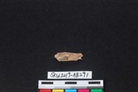 獸骨藏品圖，第2張