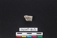 獸骨藏品圖，第1張