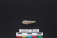 獸骨藏品圖，第1張