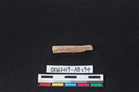 獸骨藏品圖，第1張