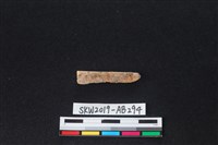 獸骨藏品圖，第2張