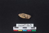 獸骨藏品圖，第1張