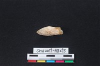 獸骨藏品圖，第2張