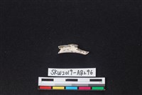 獸骨藏品圖，第2張