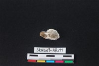 獸骨藏品圖，第2張