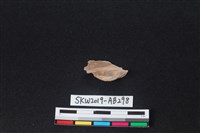 獸骨藏品圖，第1張