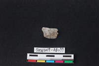 獸骨藏品圖，第1張