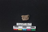 獸骨藏品圖，第2張