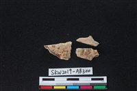 獸骨藏品圖，第2張