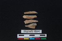 獸骨藏品圖，第1張