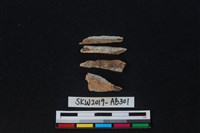 獸骨藏品圖，第2張