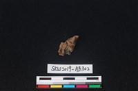 獸骨藏品圖，第1張