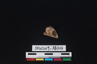 獸骨藏品圖，第2張