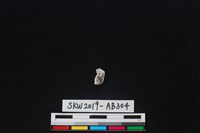 獸骨藏品圖，第2張